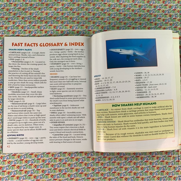Sharks Learning Book Set for Kids. - Picture 16 of 16